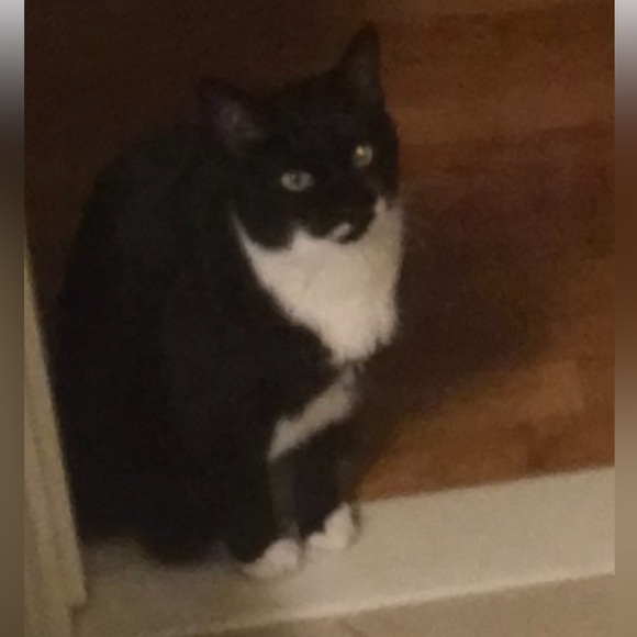 Meet your Posher, Deborah - Picture 2 of 3